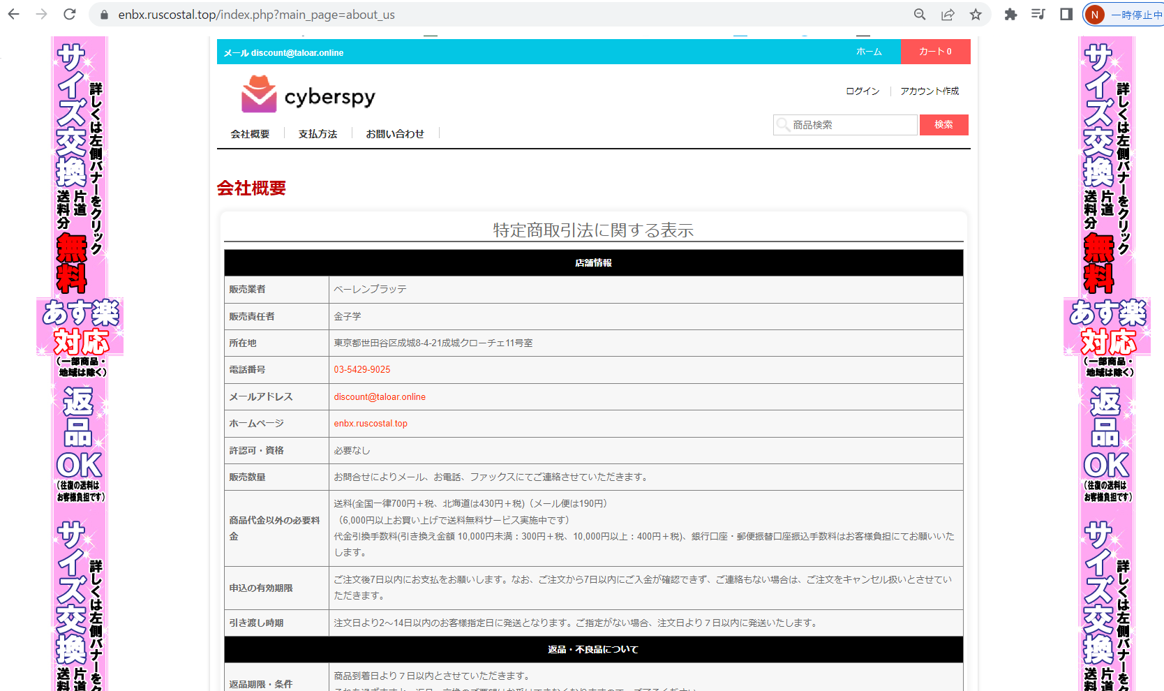 詐欺サイト画面2