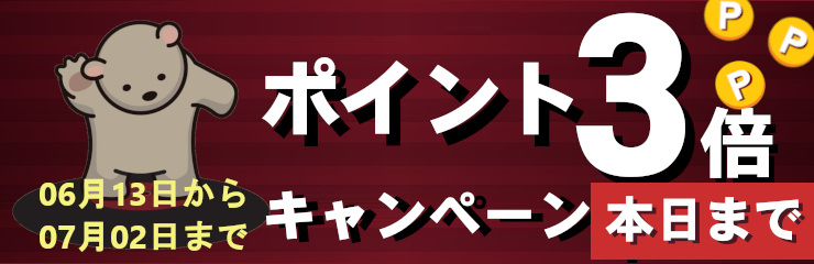 会員様限定!全商品ポイント3倍キャンペーン!
